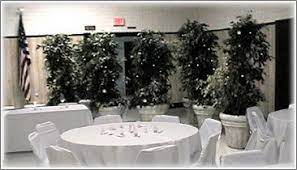 We did not find results for: Plant Rentals Rent Plants Tree Rental Wedding Decorations Events Wedding Rentals Decor Wedding Plants Barn Wedding Lighting