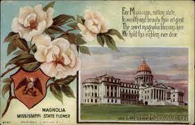 Take a break and enjoy other fun activities and attractions near jackson, mississippi.attractions close to jackson will bring you closer to some historical. Mississippi State Flower And Capitol Jackson Ms State Flowers Seals