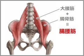腸腰筋のストレッチ動画