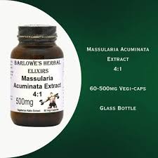 Image result for Massularia acuminata