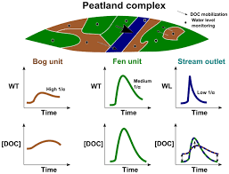 Maybe you would like to learn more about one of these? Bg Drivers Of Seasonal And Event Scale Doc Dynamics At The Outlet Of Mountainous Peatlands Revealed By High Frequency Monitoring