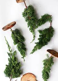 Say Yes Three Cheers For Stylish Crafty Living Fresh Christmas Trees Mini Christmas Tree Christmas Diy