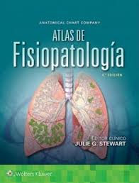Excelente libro de razonamiento matemático para los niños de 6to grado de primaria, encontraras mas de 68 hojas de ejercicios para resolver. Atlas De Fisiopatologia 4Âª Ed Por Stewart 9788417370107 Journal