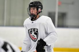 Mcdavid, mcmichael, ingram, this bedard buy, then. Expect The Whl S Exceptional Status Barrier To Be Broken After Bedard Yager And Heidt Apply The Hockey News On Sports Illustrated