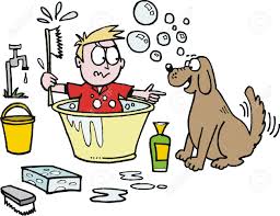 How to give a dog a bath. Vector Cartoon Of Boy Trying To Give Dog Bath Royalty Free Cliparts Vectors And Stock Illustration Image 17361468