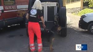 Bimbo di 2 anni scomparso tra i boschi del mugello. Dbpnzjpd6 0y4m