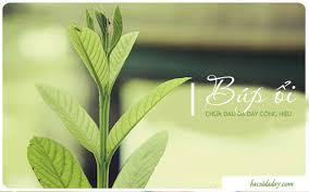 Cách chữa bệnh dư axit dạ dày với mẹo dân gian. Khá»i Ä'au Dáº¡ Day Nhá» Máº¹o Chá»¯a Ä'au Dáº¡ Day Báº±ng Bup á»•i Non