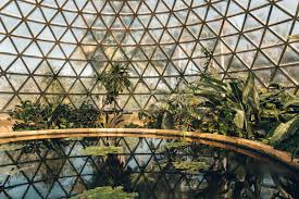 Tropical Display Dome Brisbane Botanic Garden Australia Haarkon Adventures Botanical Gardens Hillside Garden Brisbane
