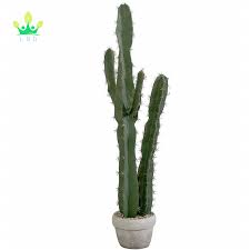San pedro cactus for sale in south africa. 36 Inch Faux Saguaro Cactus In Cement Style Clay Pot Prickly Pear Cactus Desert Plant For Home Garden Office Floor Decor Buy Artificial Plants Artificial Cactus Cactus Desert Plant For Home Office Decor Faux