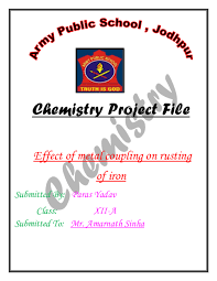 Cbse previous year question papers class 12. Doc Chemistry Project File Effect Of Metal Coupling On Rusting Of Iron Bellal Hussain Academia Edu