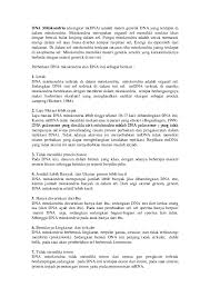 Mulai dari membran luar sebagai lapisan. Doc Dna Mitokondria Ayi Catcha Academia Edu