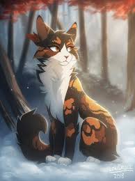 Maplesha Warrior Cats Fan Art Warrior Cat Drawings Warrior Cat Memes