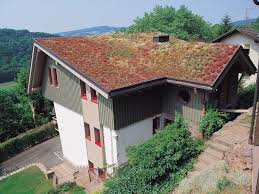 Dacher Grundach Flachdach Spitzdach Dammung Photovoltaik Roofs Green Roofs Flat And Pitched Roofs Insulati Dachbegrunung Extensive Dachbegrunung Dach
