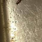 This price usually includes the countertop design, materials, construction, and installation. Keep Finding These Dime Sized Bugs In My Dallas Kitchen Sink Area Can T Find Where They Re Coming From Whatsthisbug