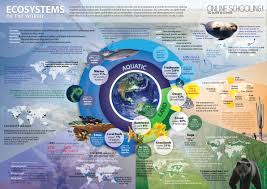 Ecosystems Of The World Visual Ly Science Infographics Ecosystems Environmental Science