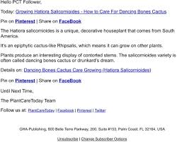 Check spelling or type a new query. The Home Of Indoor Plant Care Info For Real Dancing Bones Cactus You Can Grow Them Milled