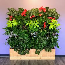 See more ideas about garden kits, seed packaging, seed kit. Easy Vertical Garden Kit For Your Home Or Office Plants On Walls