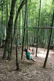 Adventure Play Tokyo Tanukiyama Dismal Garden Outdoor Kids Outdoor Outdoor Space