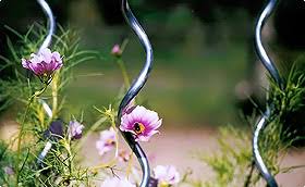 What makes a spiral garden different. Spirals And Plant Stakes