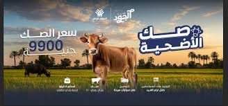 بوابة الخبر الفورى