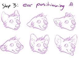 Remember how i said that the fandom means a lot of things to a lot of different people? we are a community of over 1 million, representing basically all a person dressed up as mickey mouse = furry fandom. How To Draw Expressions Furry Amino