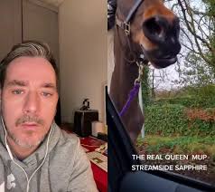 #duet with @thomasclarke558 #foryoupage #fyp #therattlingkind  #kingoftheroad #kingoftheroadireland #giddyup #sulkyracer #sapphiremare