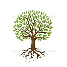 Abstract Stylized Tree With Roots And Leaves Tree Illustration Tree Art Pine Tree Tattoo