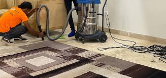 A Step-by-Step Professional Carpet Cleaning Process