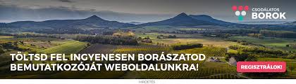 He was a member of the independent smallholders' party. Csodalatos Borok A Magyar Bor Turisztikai Magazinja