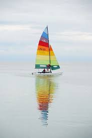 Find fresh ads in boats for sale in san diego, ca. 30 Hobie Cat Ideas Catamaran Sailing Boat