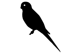Free svg image & icon. Budgie Parakeet Bird Silhouette Graphic By Idrawsilhouettes Creative Fabrica