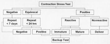 Image result for Contraction Stress Test