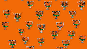 Don't spend hours manually picking pixels. Bjp Logo Animation 4 Laurel Media Productions Youtube