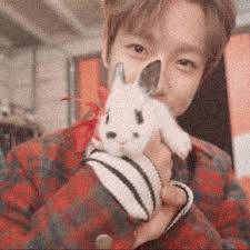 Chacha gameplay gigi kelinci gaming | player ff cantik indonesia. á¶œáµƒá¶ áµ‰ Nct Nct Dream Boyfriend Material