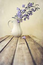 Lilac Flowers Flowers Photography Still Life Photography Still Life