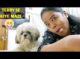 Lazy shihtzupuppy|Teddy Kitna Aalsi Hai🙁 #vlog #doglover #shihtzupuppy