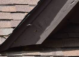 These insects rarely dwell at shadowy side of the house. Carpenter Bee Inspection Carpenter Bee Damage Nests Holes