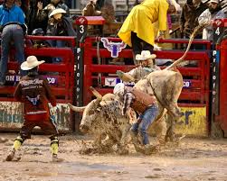 From bull riding to barrel racing, the rodeo is a wild slice of western history. Y3qdzcoq5u T7m