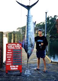 Sie verwenden einen veralteten browser (%browser%) mit sicherheitsschwachstellen und können nicht alle funktionen dieser webseite nutzen. Marlin To Catch A Marlin Is A Big Deal In The Game Of Fishing Houhora