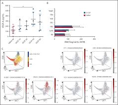Peraturan desa banjarejo kecamatan dagangan kabupaten madiun nomor 03 tahun 2013 tentang program kerja tahunan pemerintah desa banjarejo tahun 2013 ===== banjarejo 2013 website : Hif Prolyl Hydroxylase Inhibitor Fg 4497 Enhances Mouse Hematopoietic Stem Cell Mobilization Via Vegfr2 Kdr Sciencedirect