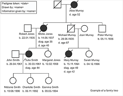 Image result for family tree drawing. Taking And Drawing A Family History Genomics Education Programme