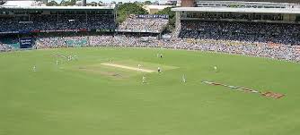 Image result for cricket india