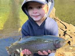 Gatlinburg Trout Facility (@gatlinburg_trout_facility) • Instagram photos  and videos