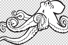 We did not find results for: Kraken Sea Monster Coloring Pages