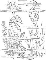 For the choice in coloring of the cover and swordfish seascape coloring page i looked to the internet perfect for on your lap on a beach chair overlooking the lake or ocean. 5 Free Printable Ocean Coloring Pages Beach The Graphics Fairy