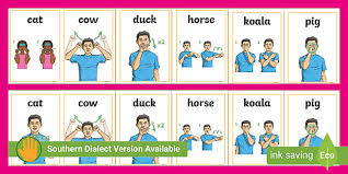 What you need to know. Auslan Animal Sign Cards Australia