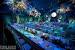 Disney Wedding Reception Ideas