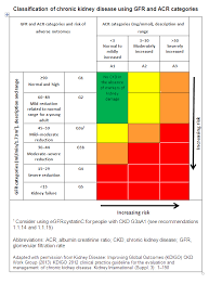 Ckd Stages The Renal Association