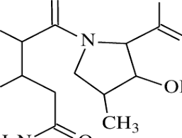 Image result for Micafungin