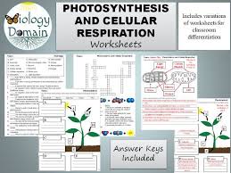Answer bry photosynthesis and respiration 'whar is the relationship between photosynthesis and cellular respiration? Photosynthesis And Cellular Respiration Worksheets Teaching Resources